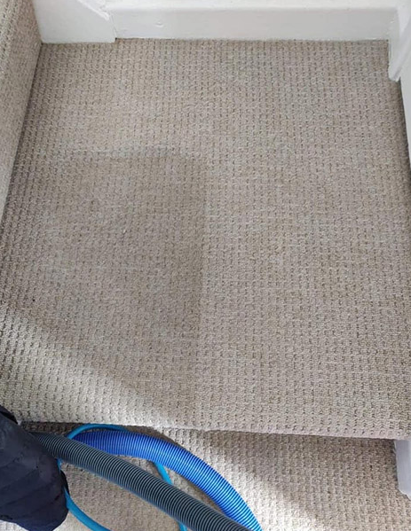 Professional Carpet Cleaning