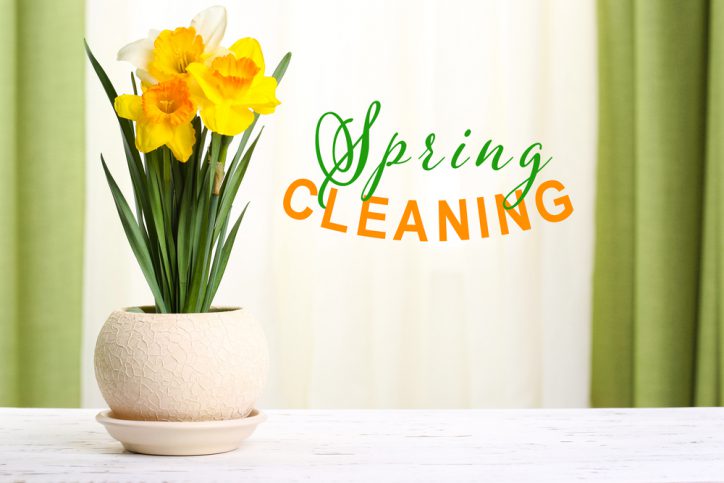 Spring Cleaning Service in Ipswich & Cambridge