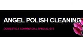 Angel Polish Cleaning