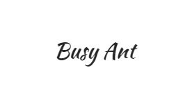 Busy Ant Cleaning Services