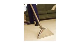 Carpet & Upholstery Care