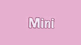 Mini Miracles Cleaning Services